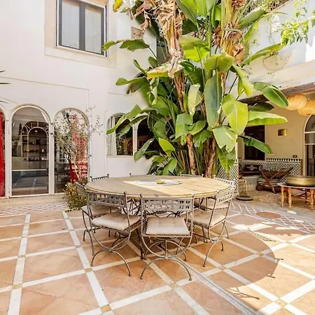 Riari فيلة روما